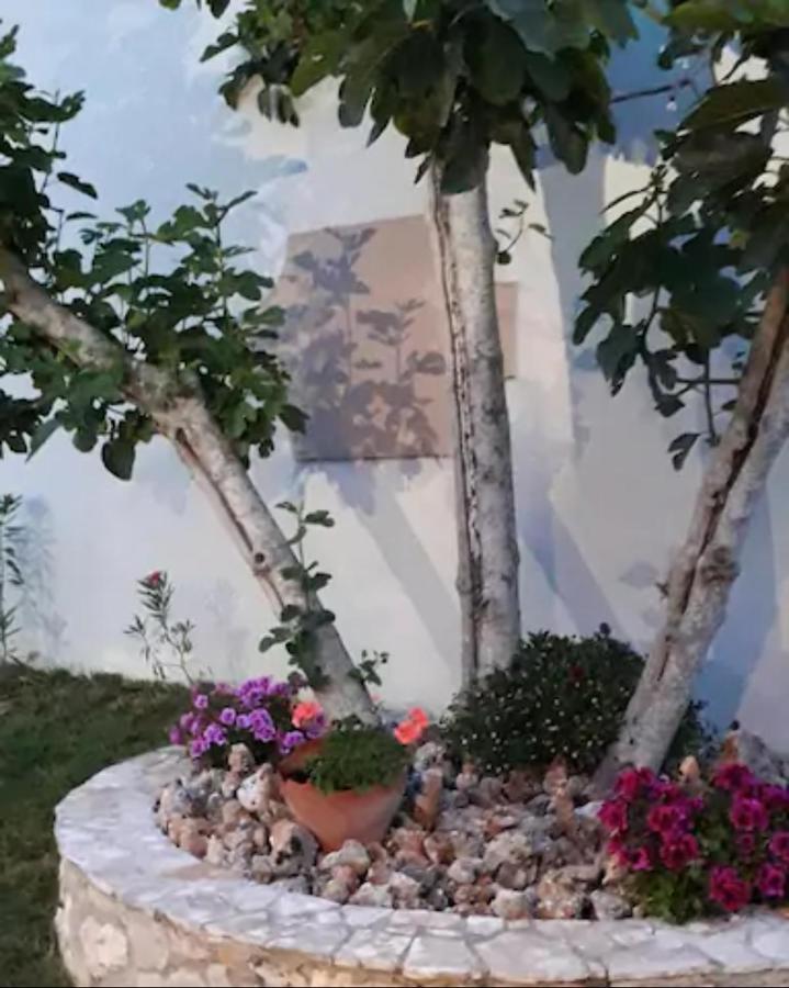 Domenica Apts II Laganas Bagian luar foto